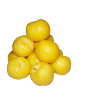 Ciruela Amarilla, Kilo