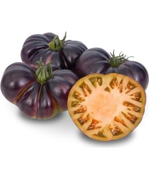Tomate Mar Azul, Kilo