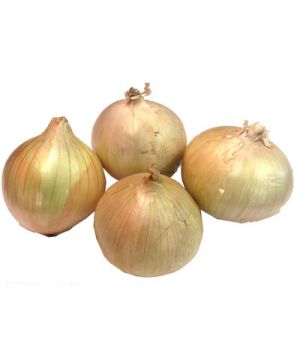 Cebolla Dulce,Kilo