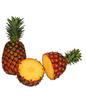 Melon Blanco, Kilo