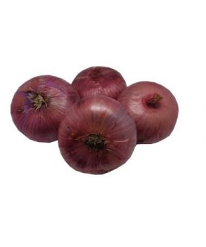 Cebolla Roja, Kilo