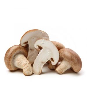 Shiitake, Kilo