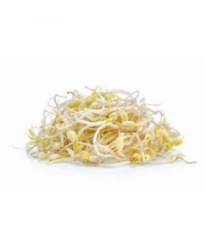 Brotes De Soja 110 Grs.