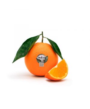 Naranja De Mesa Bollo, Kilo
