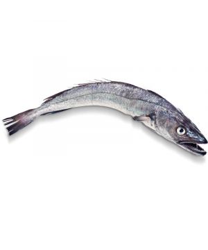 Merluza De Costa Del Cantabrico De 1 A 2 Kg/Pza.,Kg.