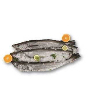 Pescadilla Anzuelo Del Cantabrico 750 A 1000 Grs/Pz,Kg.