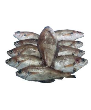 Filete De Sarda, Kilo