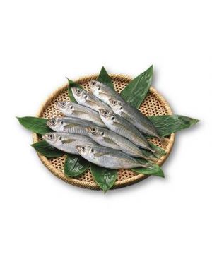 Chincho Del Cantabrico 18-25 Pzas/Kg.,Kilo