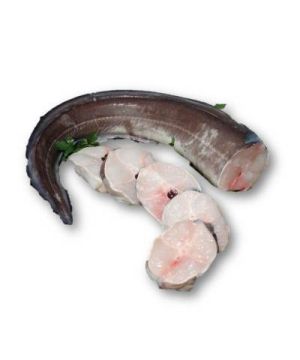 Congrio Cerrado S/Cola 2-4 Kg/Pz, Kg.