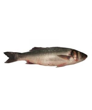 Lubina Crianza 800-1000 Gr./Pza, Kilo