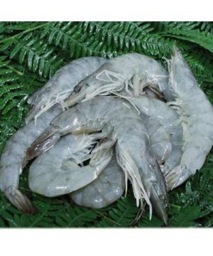 Langostino Crudo Vannamei 20/30 Piezas/Kilo,Kilo