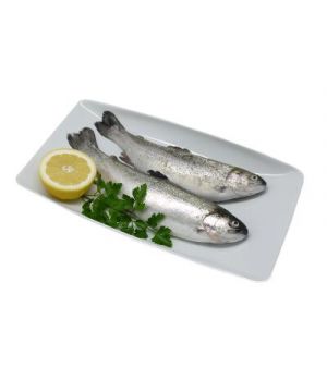 Trucha Fresca Eviscerada Blanca,Kilo