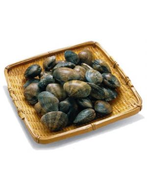Almeja Marinera 70/90 Pz-Kg, Malla 500 Grs/Aprox. Und