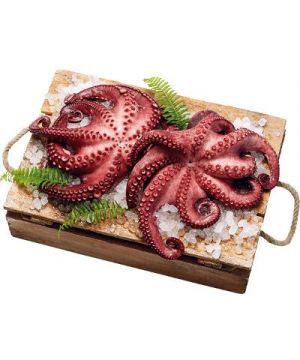 Pulpo Cocido De 1,5-3 Kilos/Pieza, Kilo