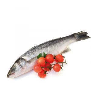 Lubina Crianza 300-400 Grs/Pieza Und.