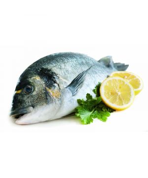 Dorada Fresca 1000-1400 Gr./Piz.,Kilo