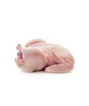 Gallina, Kilo