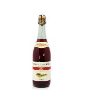 Vino Rosado Villa Novecento Lambrusco 75 Cl.