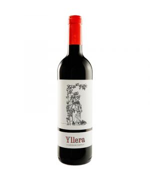 Vino Tinto Yllera 12 Meses 75 Cl.